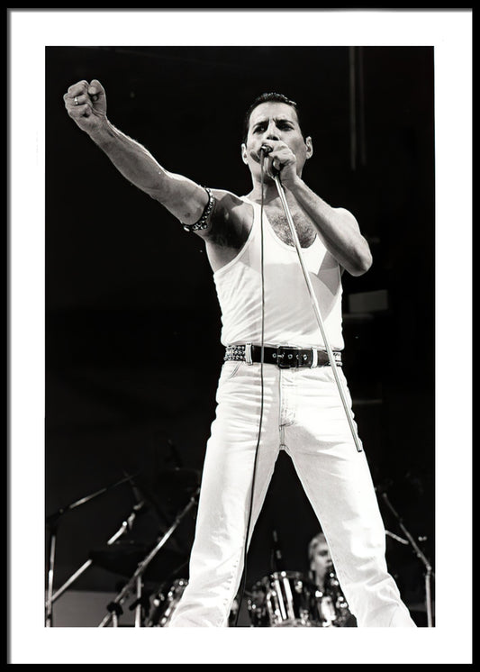 Freddie Mercury No4 Poster