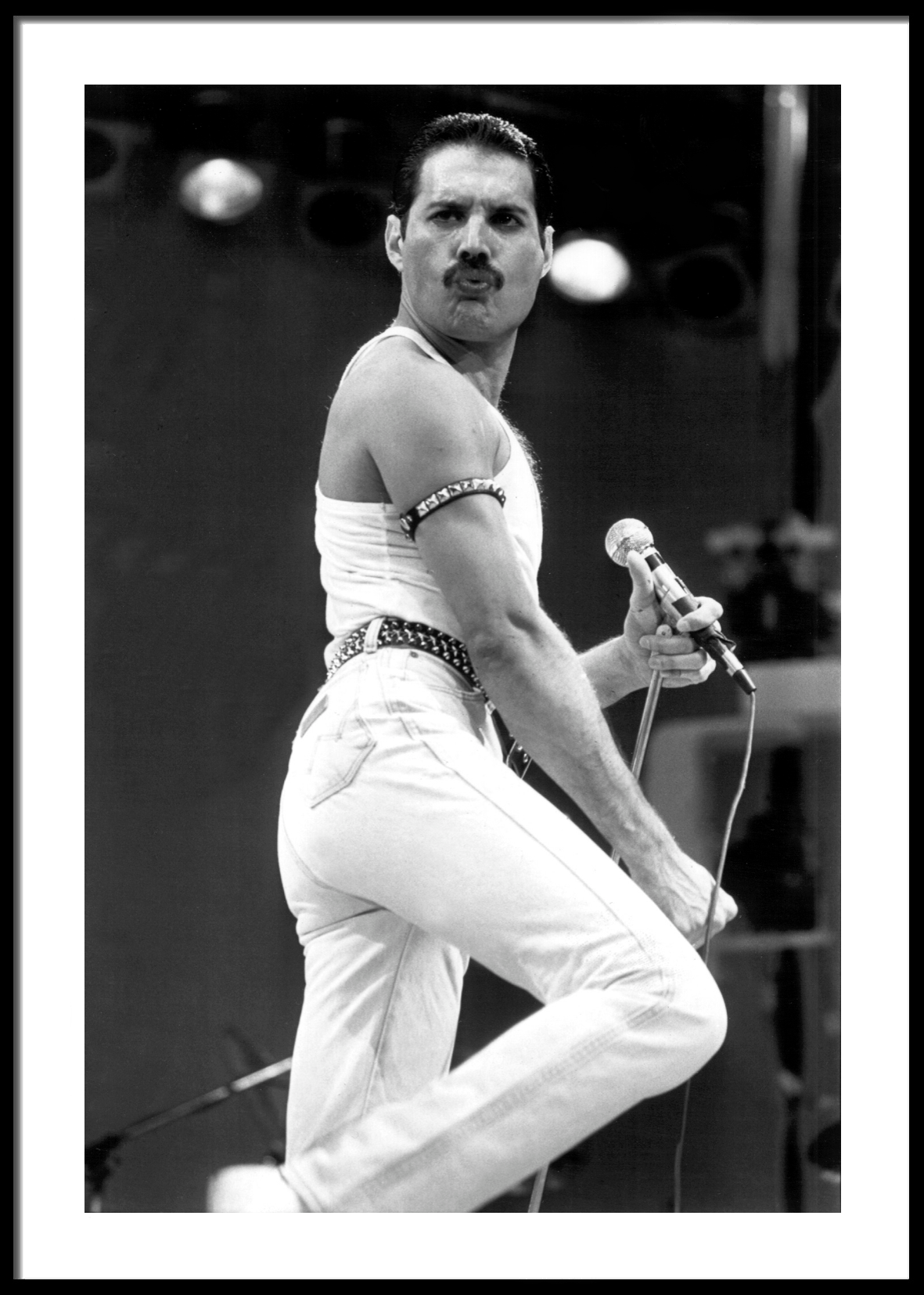 Freddie Mercury No5