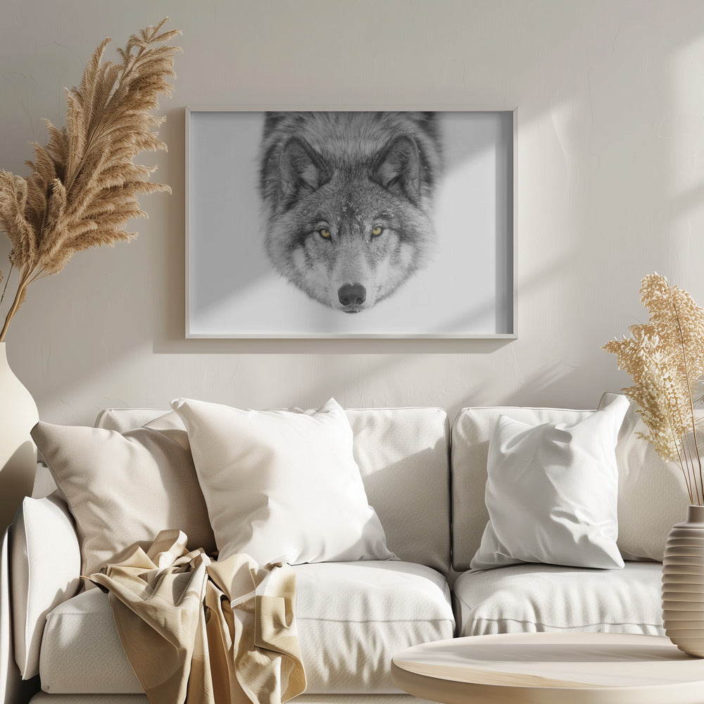 Timber Wolf No2 Poster